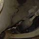 The steering bellow (rubber boot) you see in the image above is highly vulnerable to Marten bites, which is why this one has a high-voltage cable going to it to shock the little pests (the high-voltage cable is hard to see in this image).